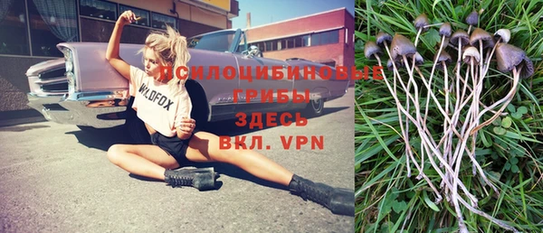 MDMA Premium VHQ Верхнеуральск